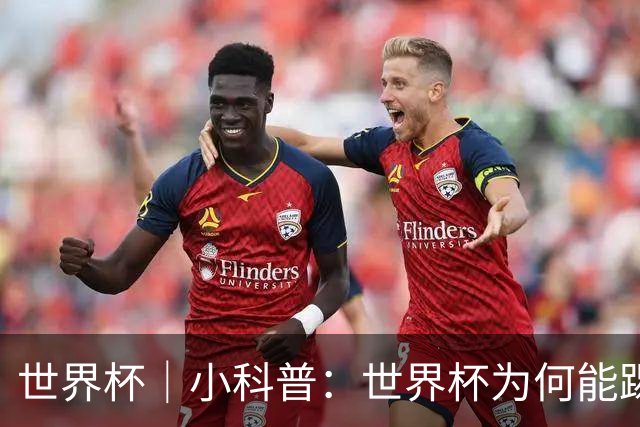 世界杯｜小科普：世界杯为何能踢出那么大的分差？