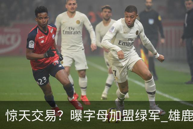 惊天交易？曝字母加盟绿军 雄鹿为布朗寻找第三方