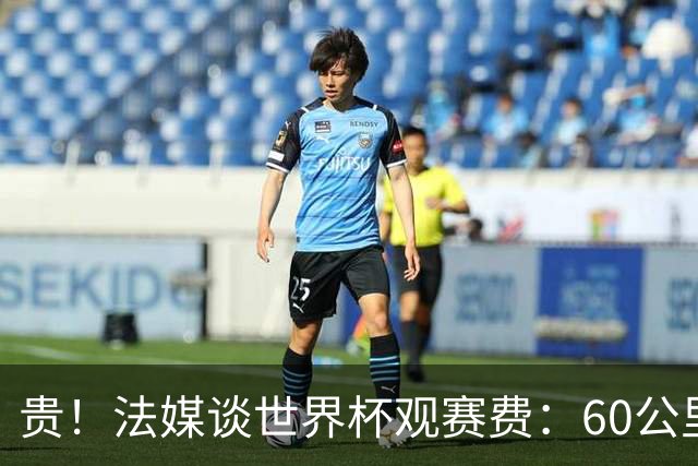 贵！法媒谈世界杯观赛费：60公里火车98美元，有人4天花4500欧元